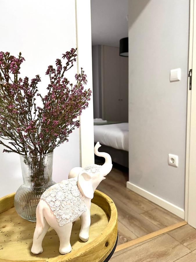 Apartament Casa Do Moleiro Amarante Zewnętrze zdjęcie